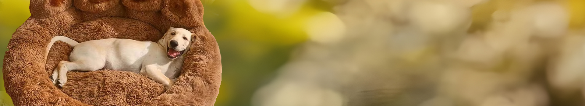 bg_image